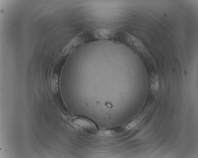 X0000067350332200604030940