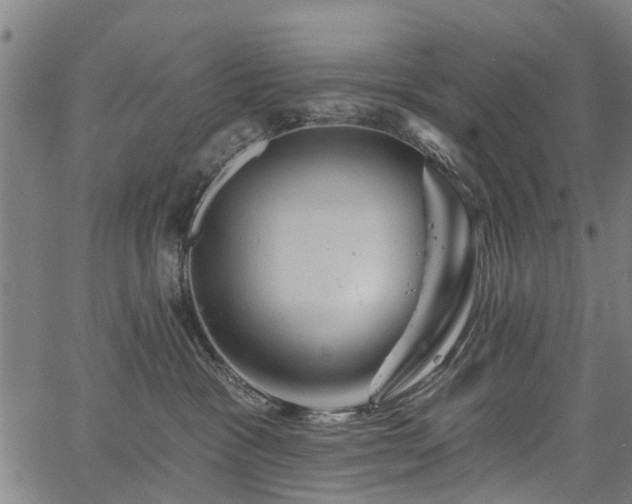 X0000067350333200604030940