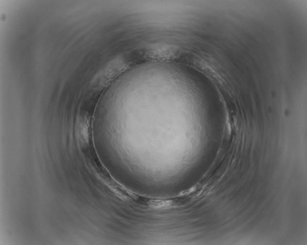 X0000067350334200604030940