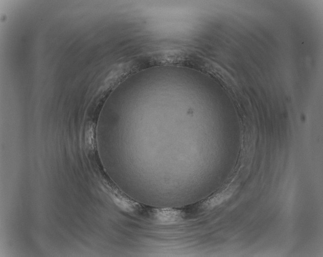 X0000067350336200604030940