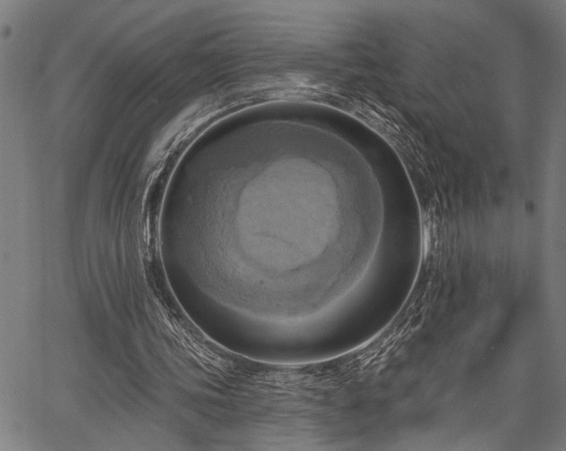 X0000067350339200604030939