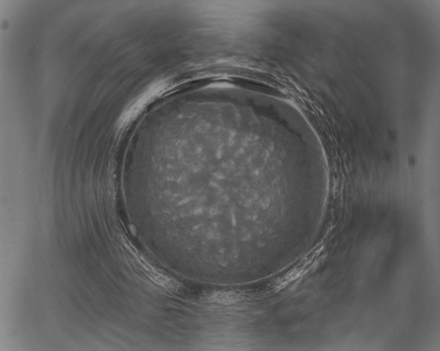 X0000067350341200604030939