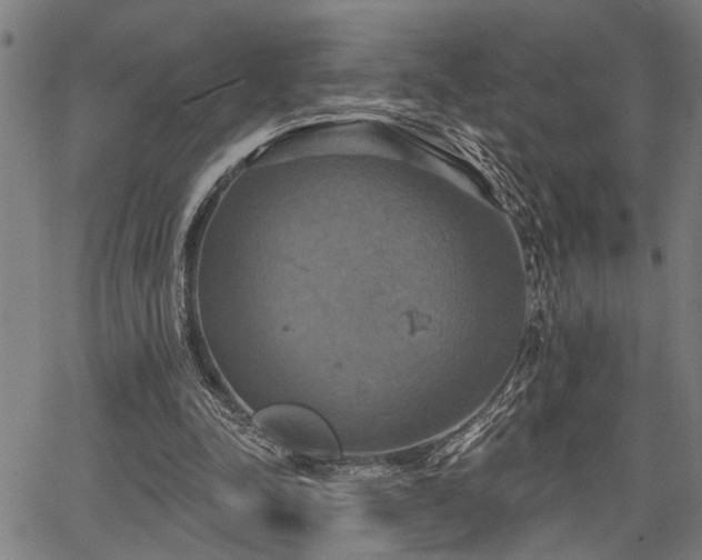 X0000067350342200604030939