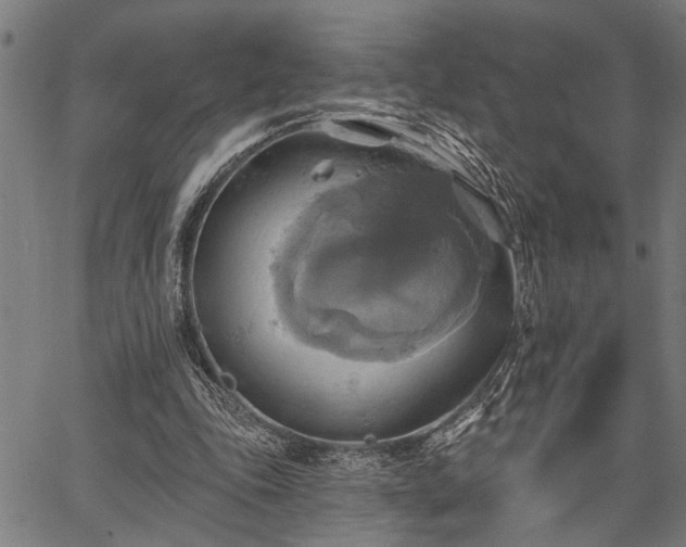 X0000067350343200604030939