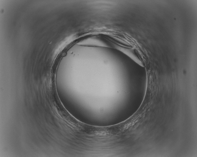 X0000067350344200604030939