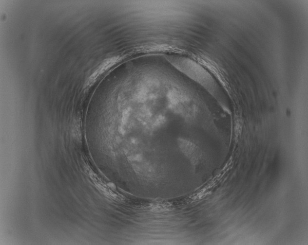 X0000067350345200604030939