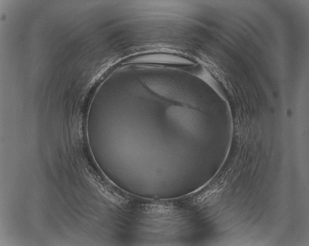 X0000067350347200604030939