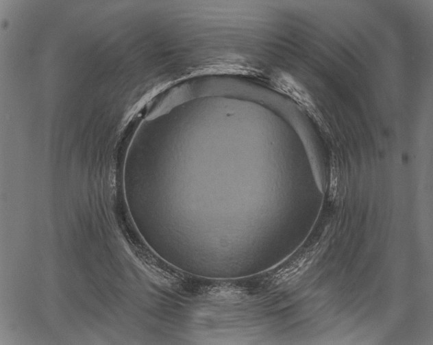 X0000067350348200604030939