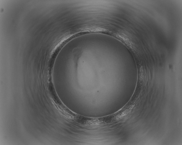 X0000067350351200604030939