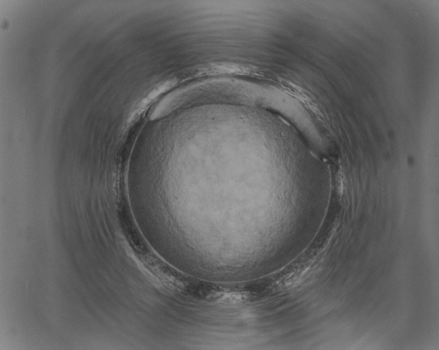 X0000067350352200604030939