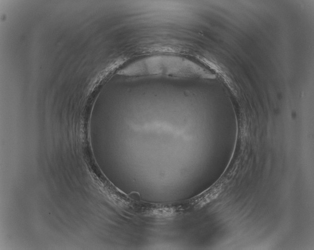 X0000067350353200604030939