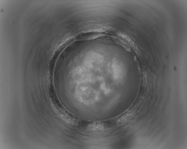 X0000067350354200604030940