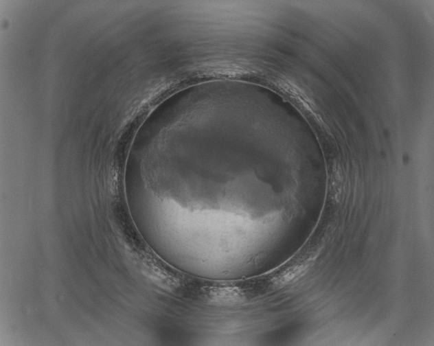 X0000067350355200604030940