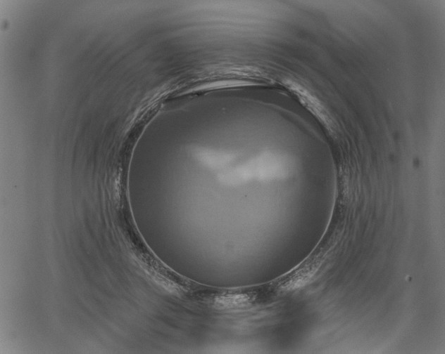 X0000067350357200604030940