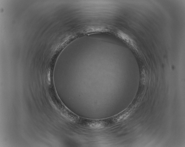 X0000067350358200604030940