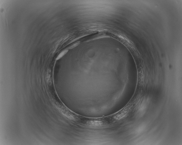 X0000067350361200604030940