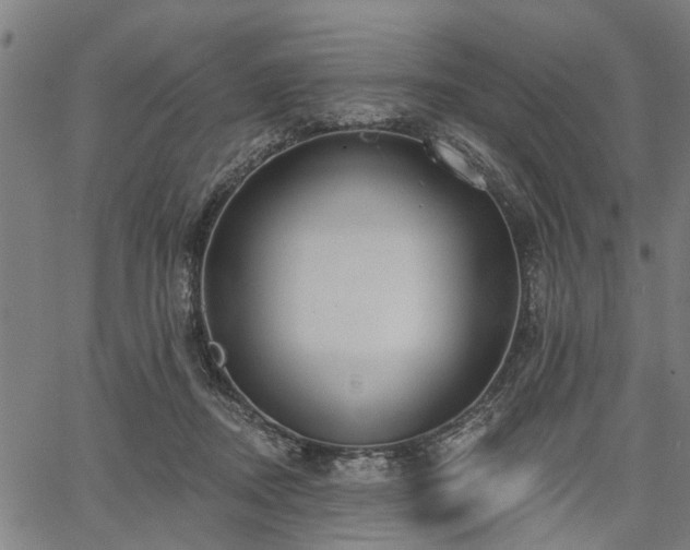 X0000067350362200604030940