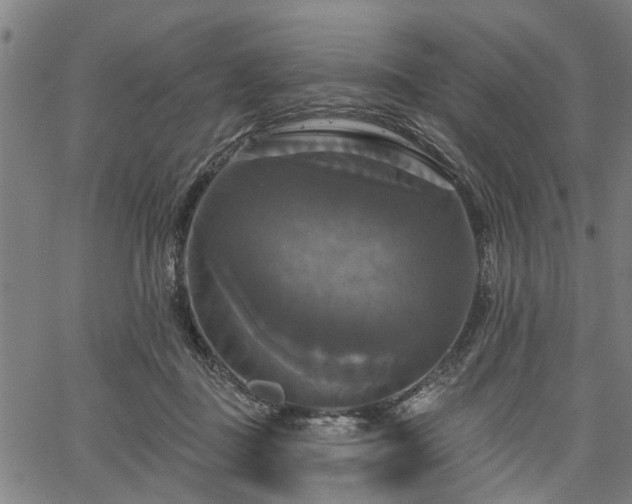 X0000067350363200604030940