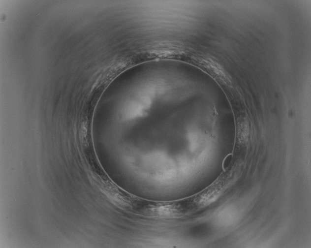 X0000067350365200604030940