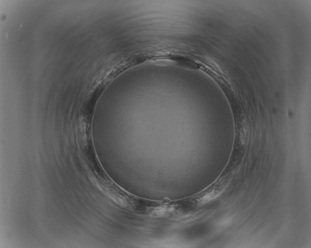 X0000067350366200604030940