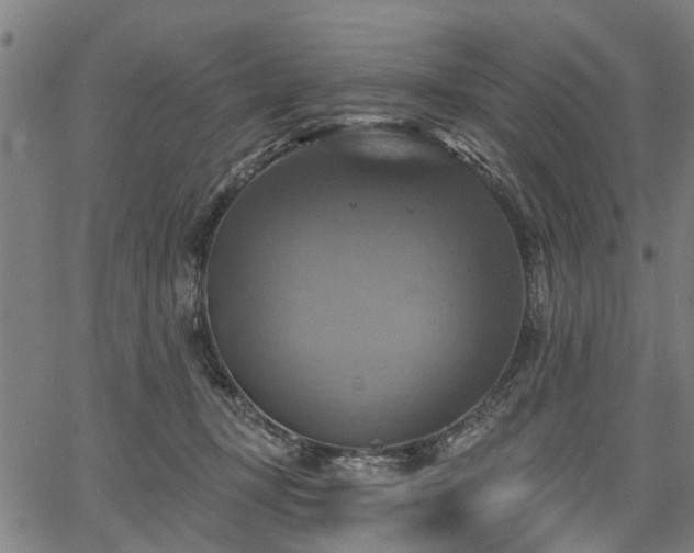 X0000067350367200604030940