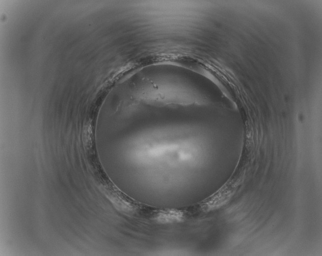 X0000067350369200604030940