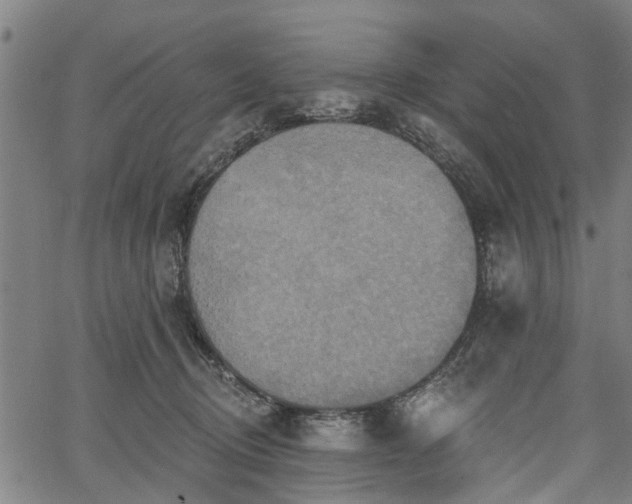 X0000067350370200604030940