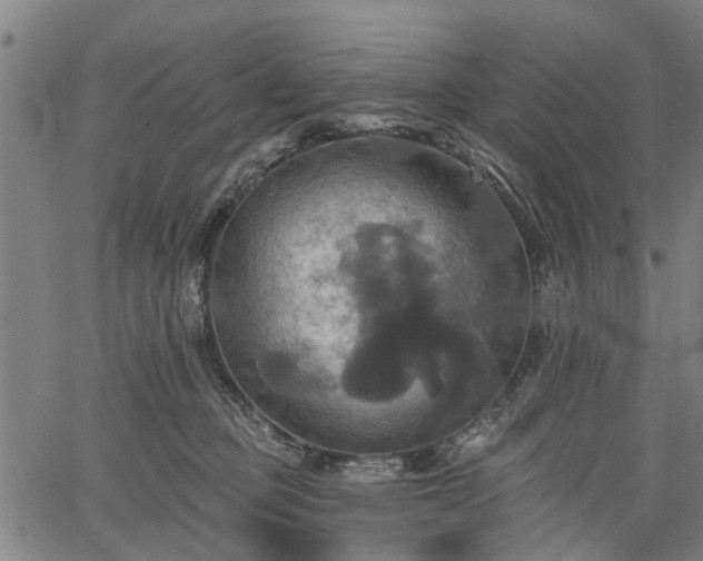 X0000067350373200604030940