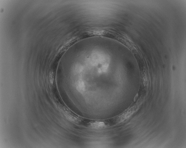 X0000067350374200604030940