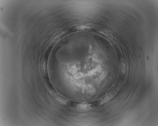 X0000067350375200604030940