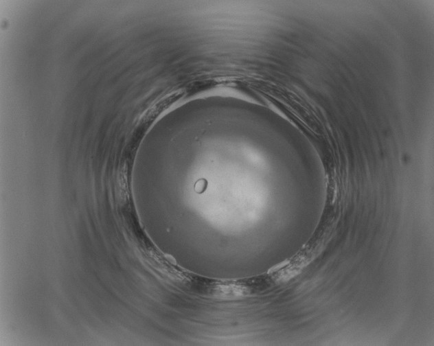 X0000067350376200604030940