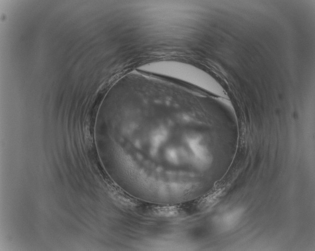 X0000067350377200604030940