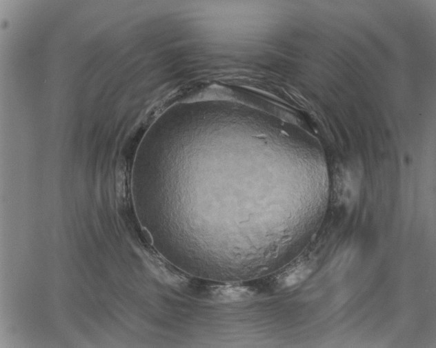 X0000067350379200604030940