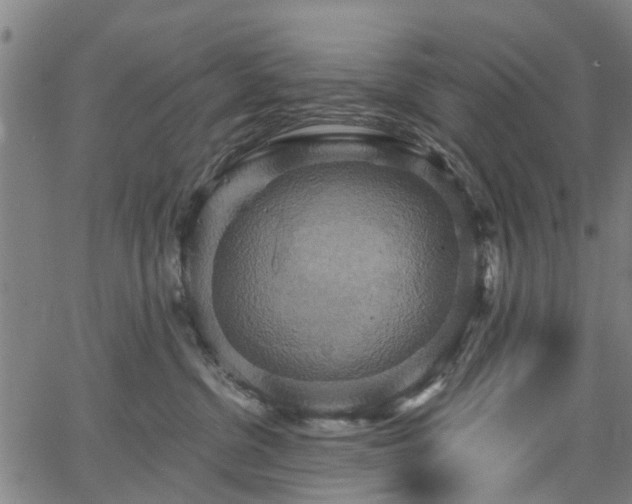 X0000067350380200604030940