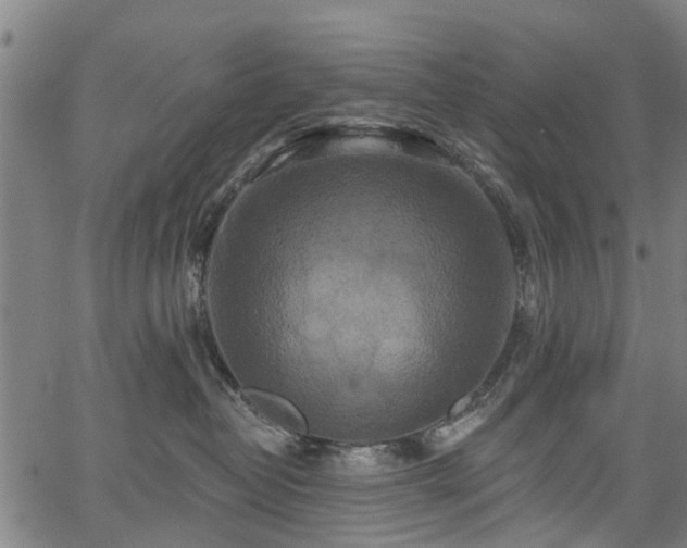 X0000067350382200604030940