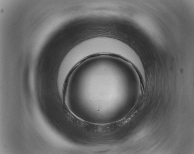 X0000067350383200604030940