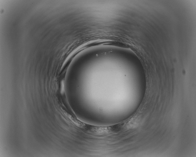 X0000067350384200604030940