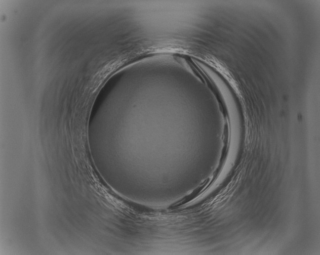 X0000067350385200604030939