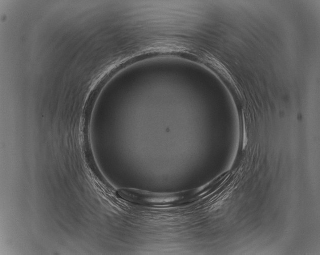 X0000067350387200604030939