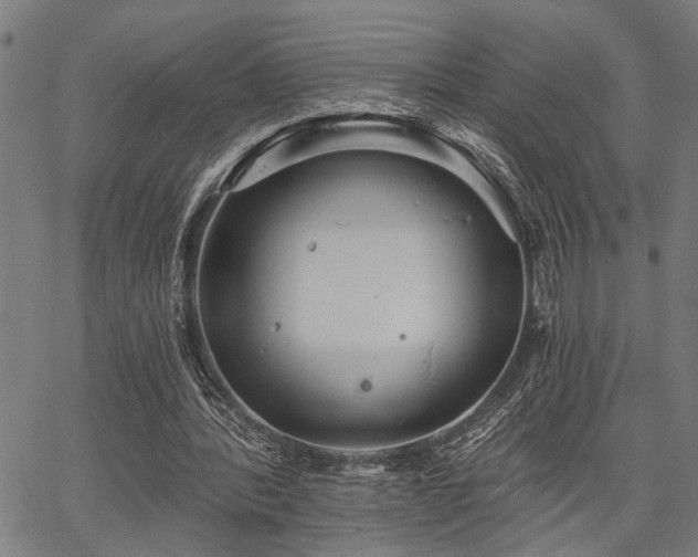 X0000067350388200604030939