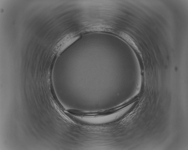 X0000067350389200604030939