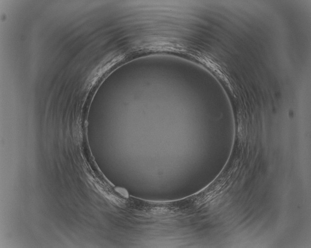 X0000067350390200604030939