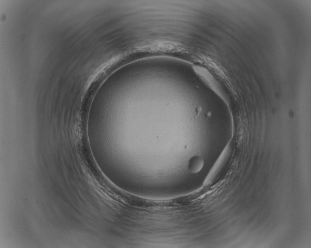 X0000067350392200604030939