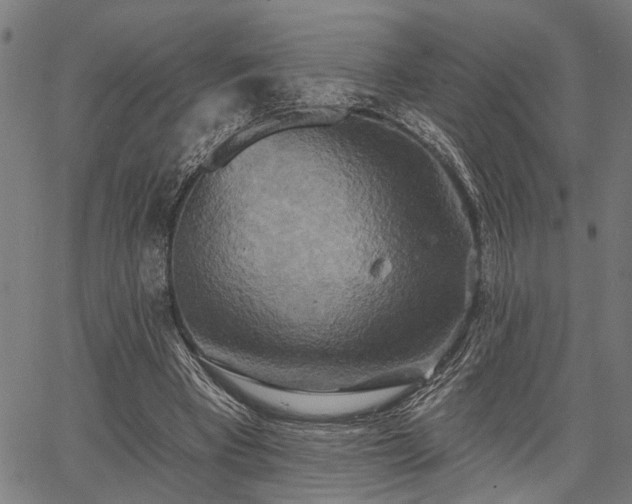 X0000067350393200604030939