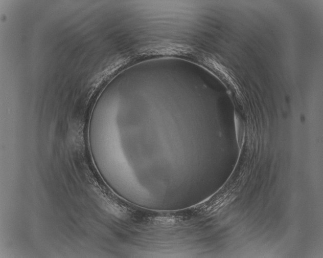 X0000067350394200604030939