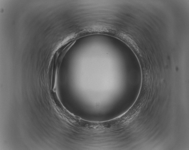 X0000067350395200604030939