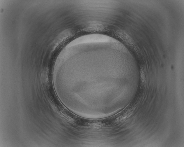 X0000067350396200604030939