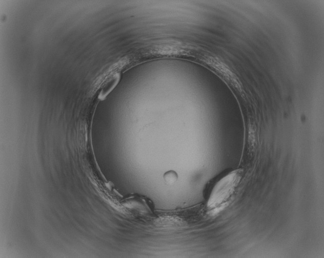 X0000067350397200604030939