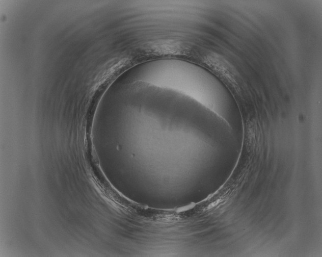 X0000067350398200604030939