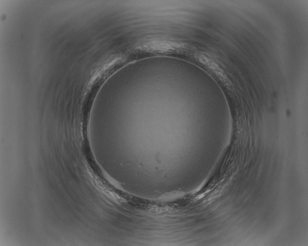 X0000067350399200604030939